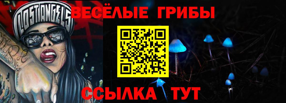 Псилоцибиновые грибы прущие грибы Озёры