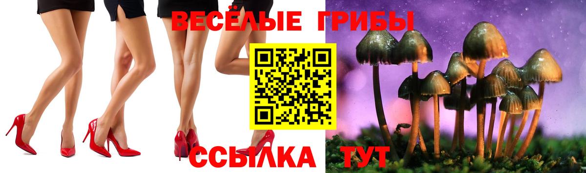 Галлюциногенные грибы мицелий  Галлюциногенные грибы GOLDEN TEACHER  Озёры  Вход с VPN 